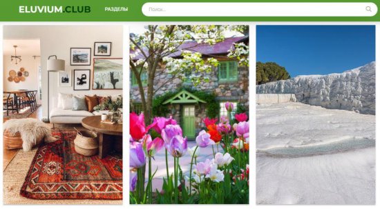 Огородные решения: Умные и эффективные способы выращивания свежих овощей